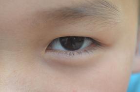 goodly Eye Macro