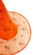 orange halloween,hat, top view