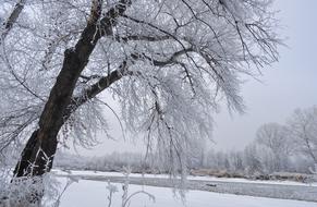 Snow Trees Winter river