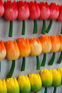 impressively beautiful Fridge Magnet