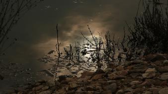 River Water and white Moon