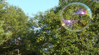 Bubbles Flying Rainbow