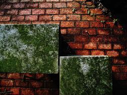 Bricks Wall Backdrop grunge