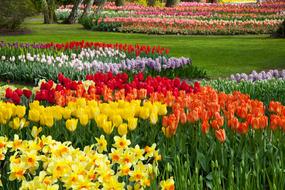 magnificent Beautiful Flower Bed