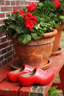 traditional shoes as decor in the netherlands