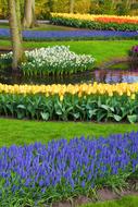 magnificent Flower Bed