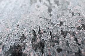 hoarfrost in macro