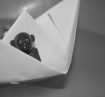 Figure Water monkey