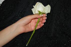 Hand and Wedding Roses