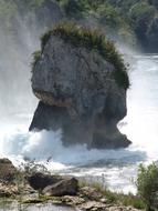 Rock Surf Primeval