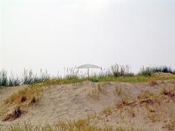 Stilles Village Dune sand