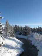 winter photo of a frozen road in a forest area