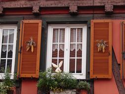 corn on wooden shutters at home in Alsace