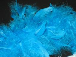 Feather Blue