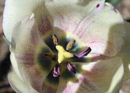 impressively beautiful Stigma Style