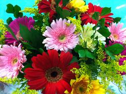 magnificent Flowers Spring Summer