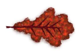 brown leaf fall drawing