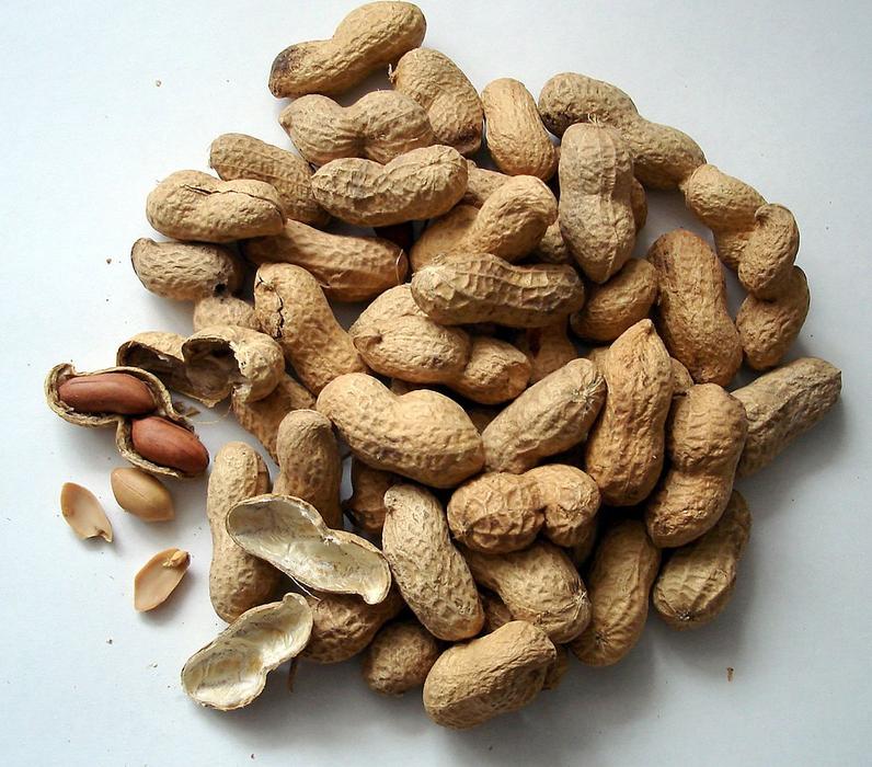 fabulous Peanuts Cores