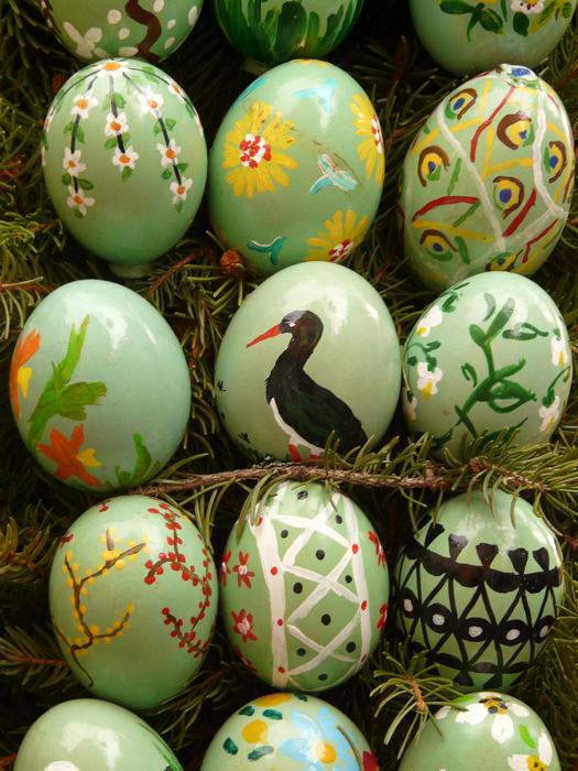 Easter Eggs on fir tree branches, background