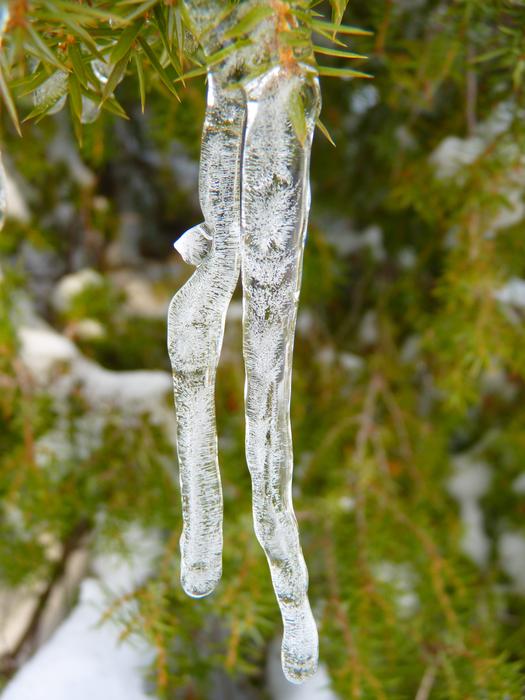 Eisapfen Frozen