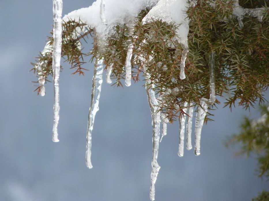 Icicle Winter