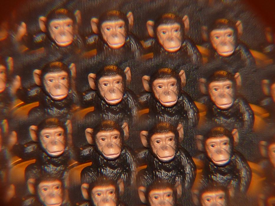 Monkeys toys