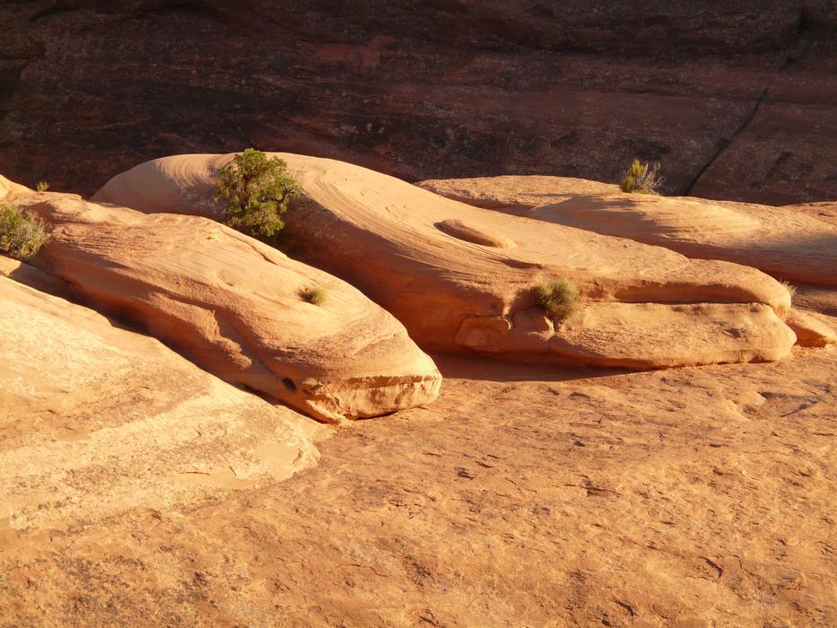 Arches National Park Usa