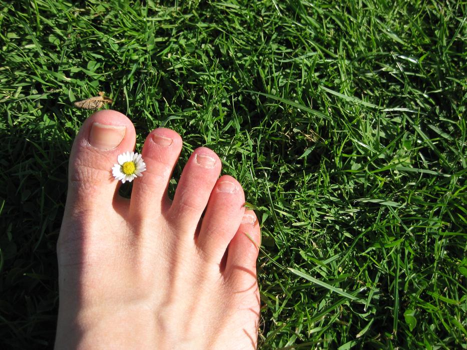 daisy between toes
