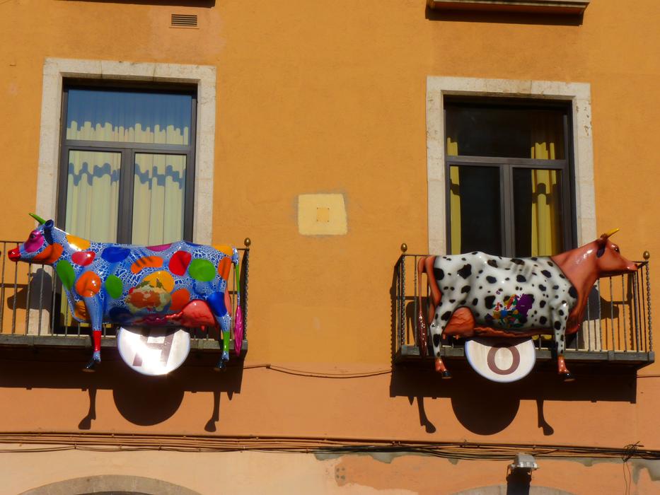Cows Colorful decor