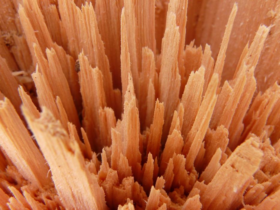 Wood Splitters