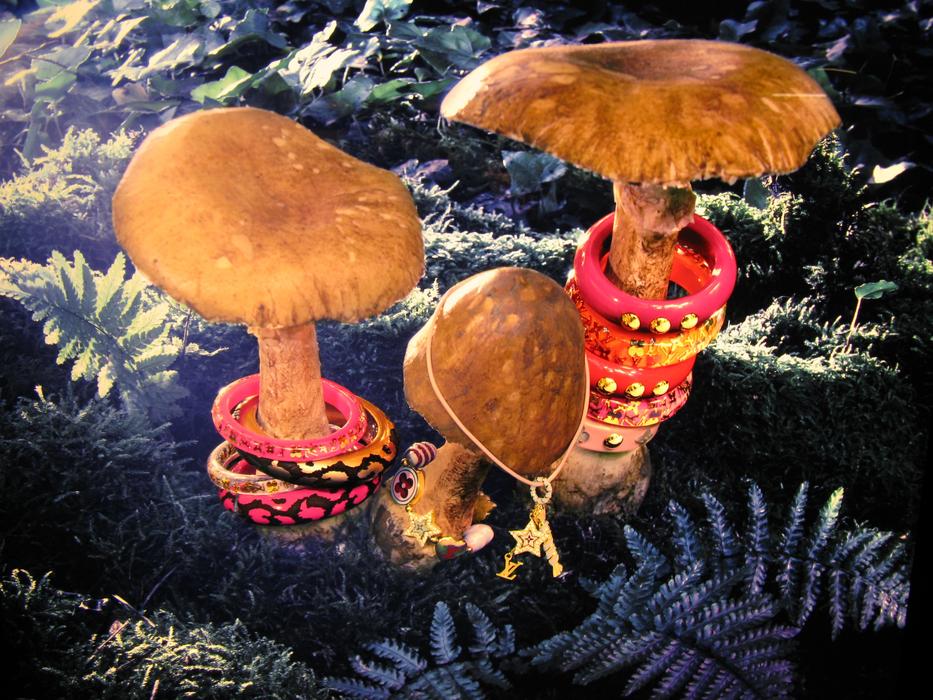 goodly Mushrooms