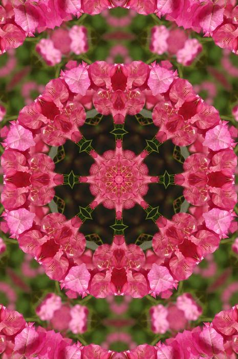 Beautiful pink and green mandala drawing