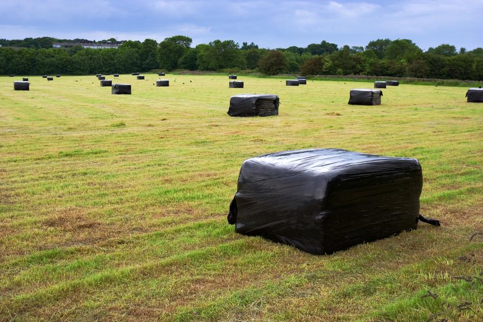 black plastic film on haystacks on the field