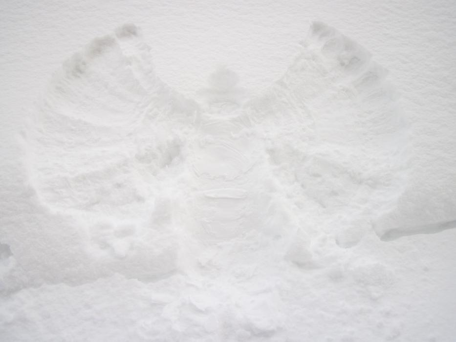 Angel Christmas snow free image download