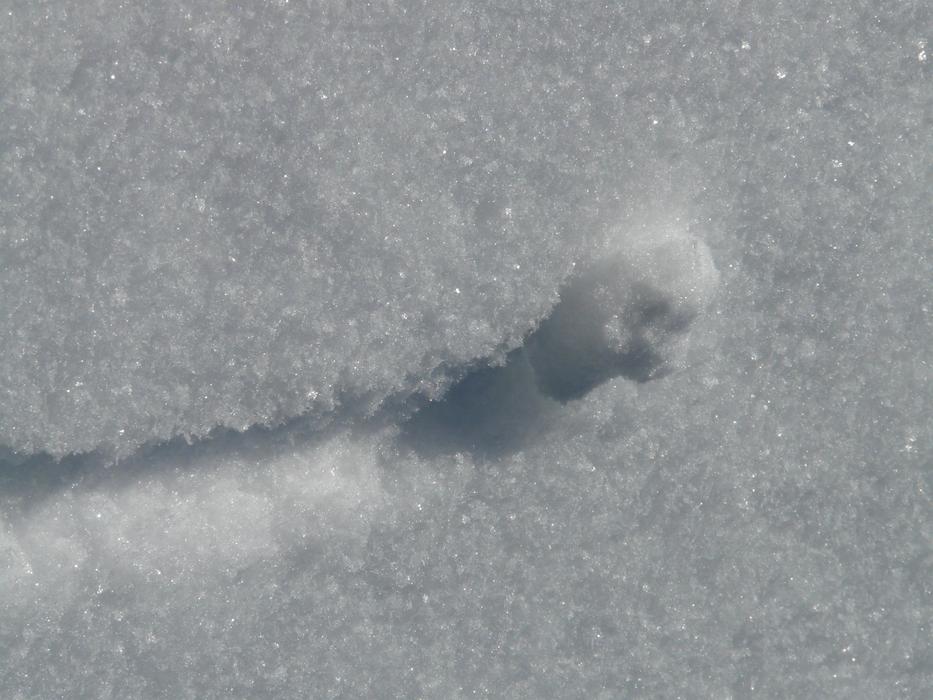 white crystals of snow on a sunny day