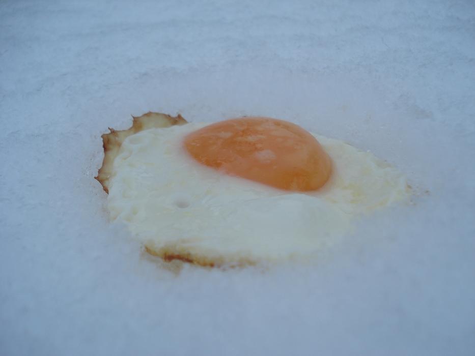 Fried egg on Snow