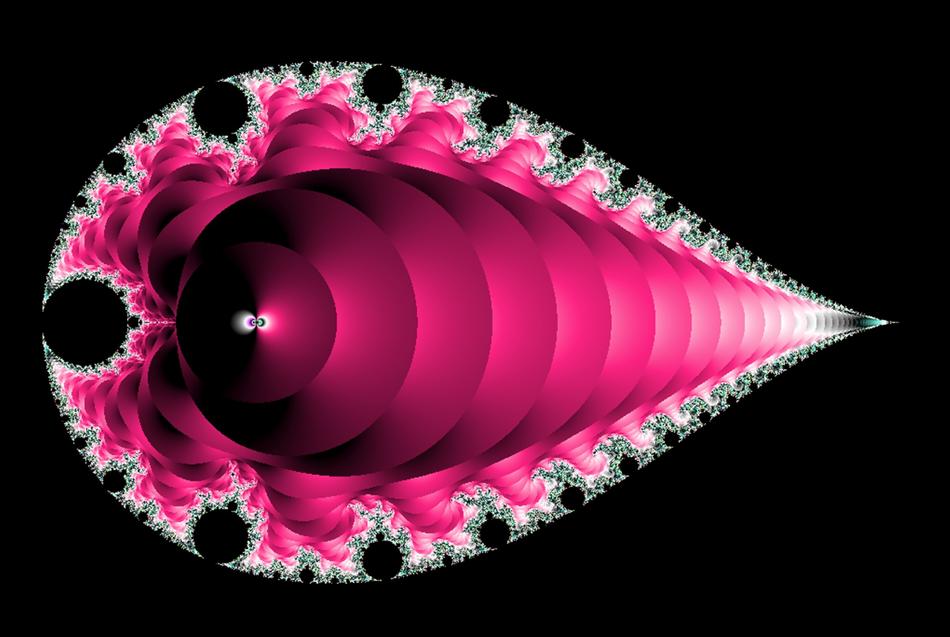 pink fractal seashell design