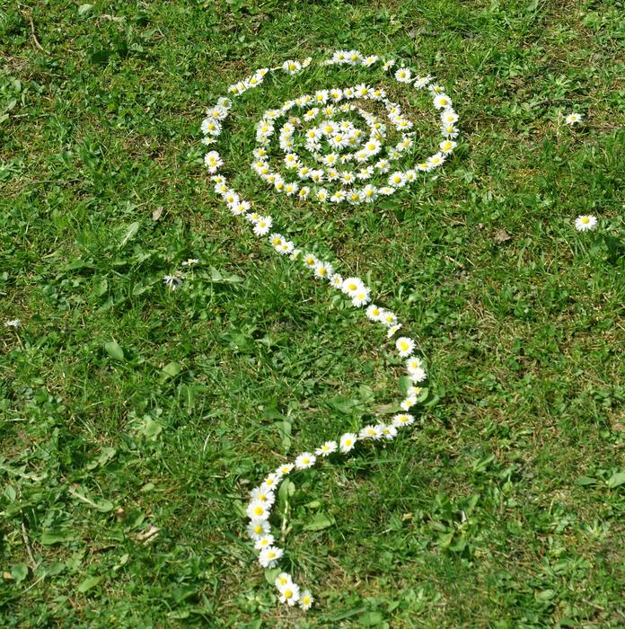 extraordinarily beautiful spiral art of Daisies