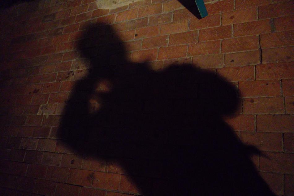 Shadow Lurker