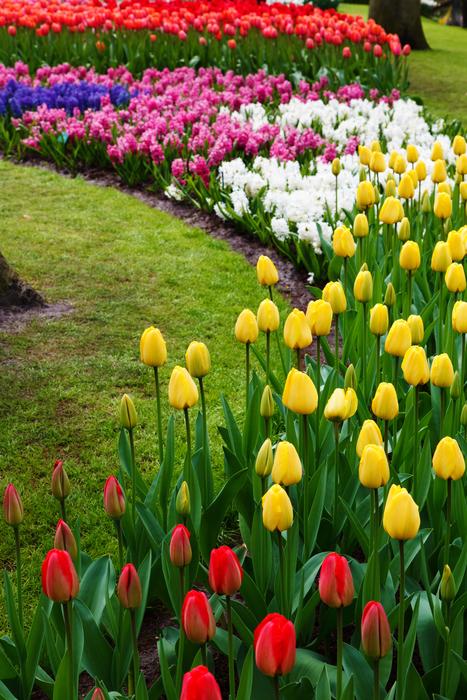 ravishing Beautiful Flower Bed