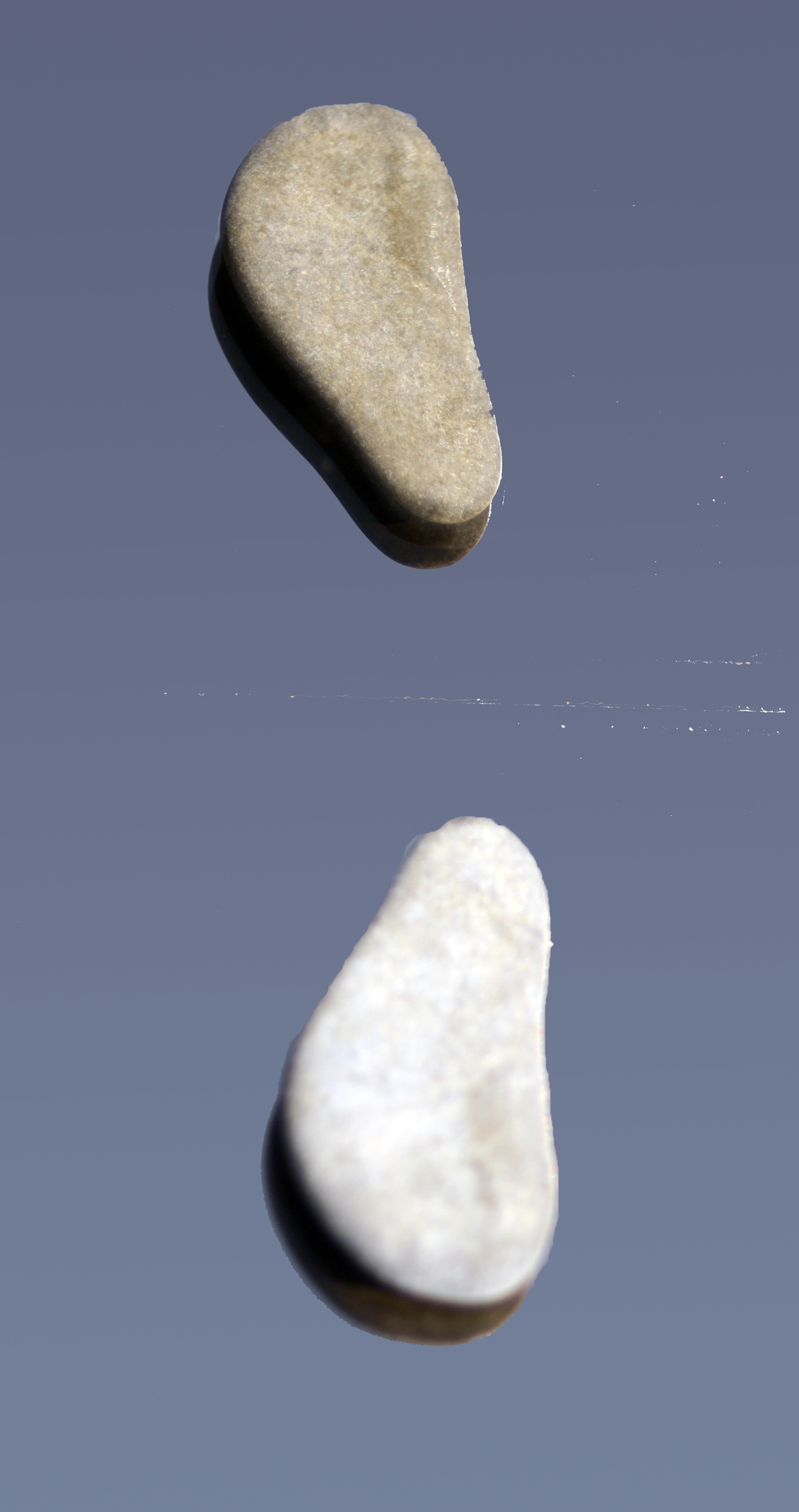 Pair Stones Feet free image download