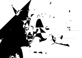 anarchy insurgence white black