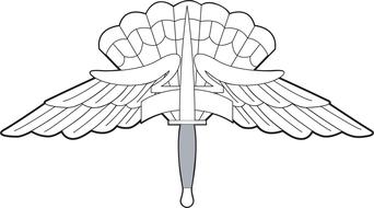 usaf air force badge sign drawing