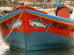 picture of fish on a boat in the port