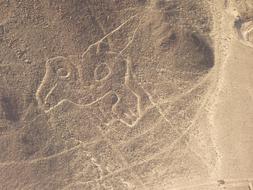 Nasca Lines Peru drawing