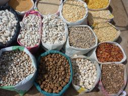 Dried Potatoes and seeds in bags