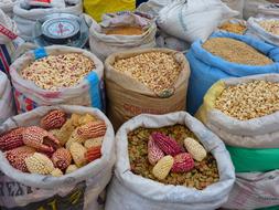 Corn Maize Varieties market