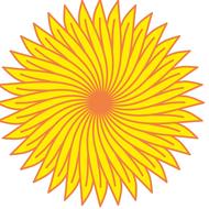 sunflower yellow golden drawing