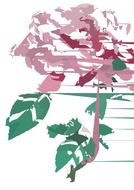 rose flower pink green abstract drawing