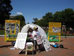 Protester Political
